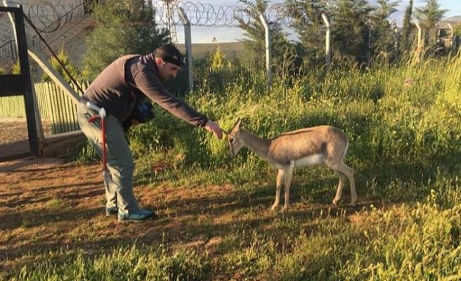 Ahmet Taşçı: "Beykoz’daki Canlılık, İngiltere'nin Bir Buçuk Katı"