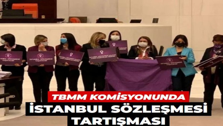 Kadına şiddete karşı komisyonda 'İstanbul Sözleşmesi' tartışması: 'Şiddetle mücadeleden vazgeçildiği anlamına gelmiyor'