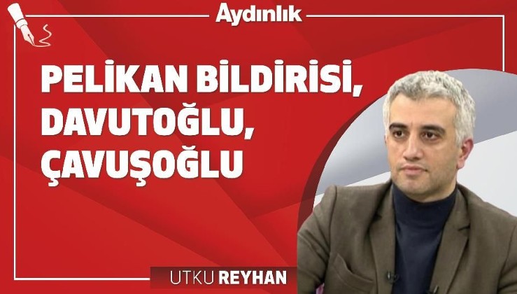 Pelikan Bildirisi, Davutoğlu, Çavuşoğlu