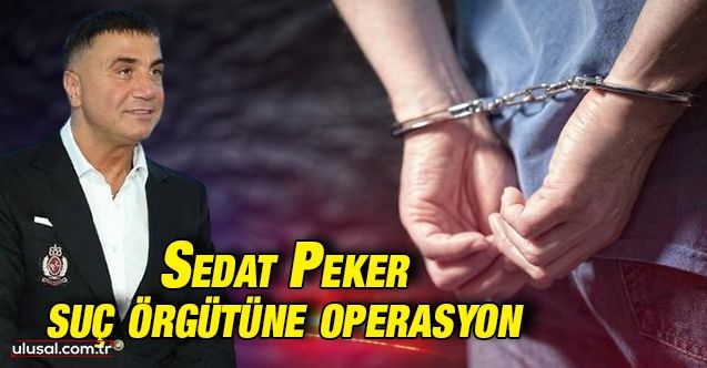Sedat Peker suç örgütüne operasyon