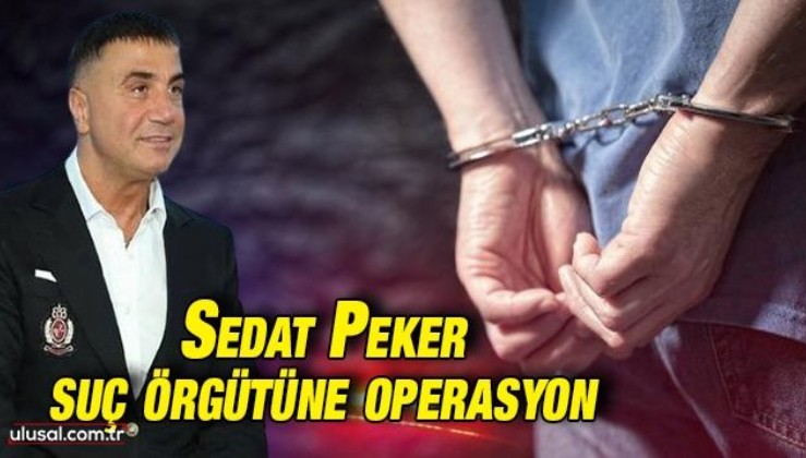 Sedat Peker suç örgütüne operasyon