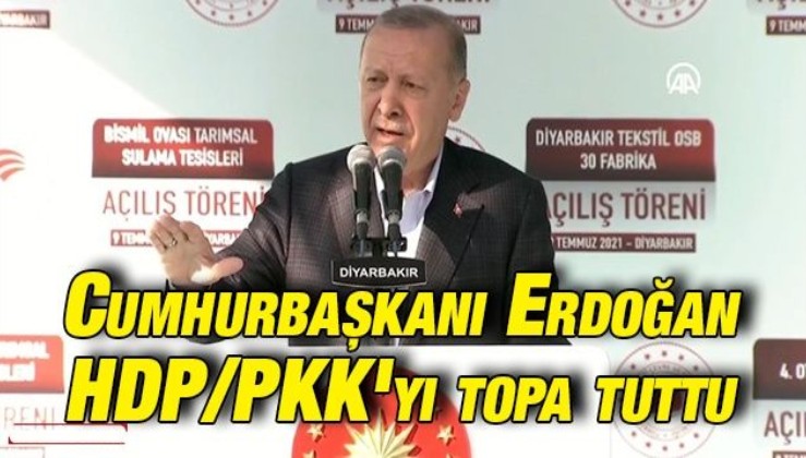 Cumhurbaşkanı Erdoğan HDP/PKK'yı topa tuttu
