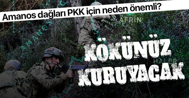 Teröristlerden temizlenen Amanos Dağları'nın PKK terör örgütü için önemi nedir?