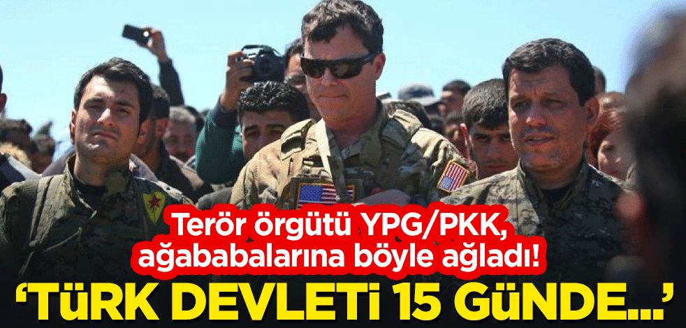 Terör örgütü YPG/PKK, ağababalarına böyle ağladı! "Türk devleti 15 günde..."
