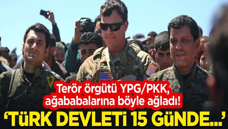 Terör örgütü YPG/PKK, ağababalarına böyle ağladı! "Türk devleti 15 günde..."