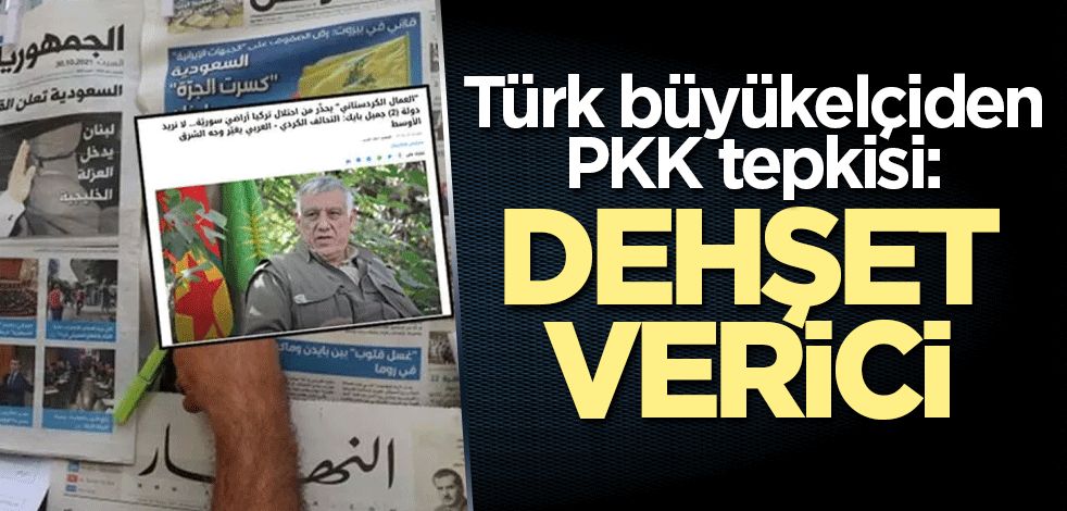 Türk büyükelçiden PKK tepkisi: Dehşet verici