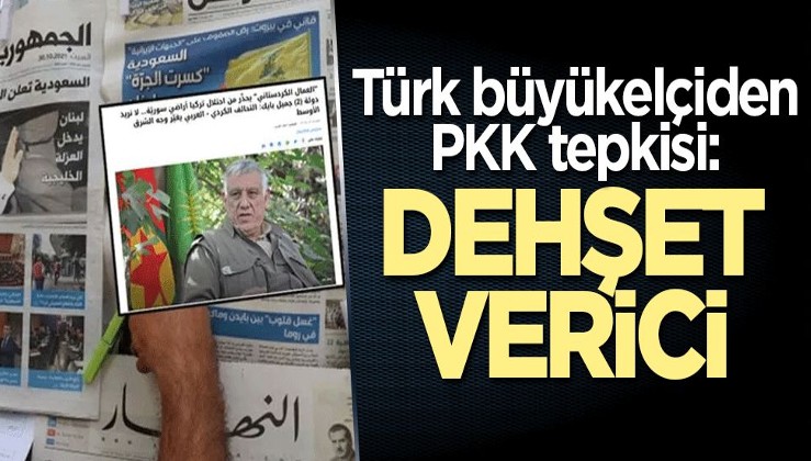 Türk büyükelçiden PKK tepkisi: Dehşet verici