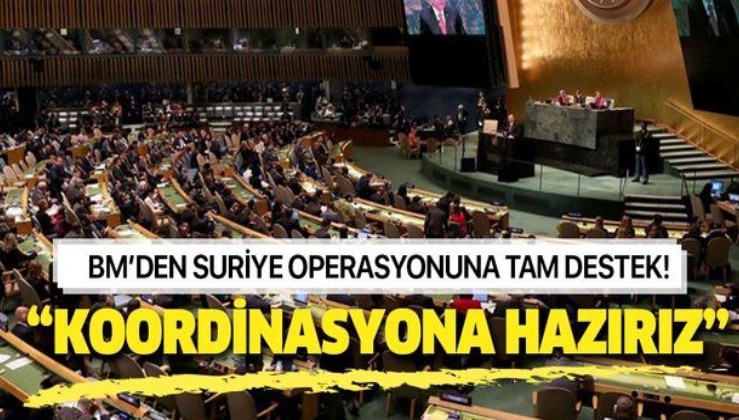 BM'den Türkiye'nin Suriye operasyonuna destek!.