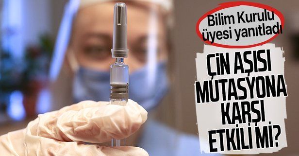 Türkiye'de uygulanan inaktif aşı Sinovac mutasyona karşı etkili mi? Bilim Kurulu üyesi yanıtladı