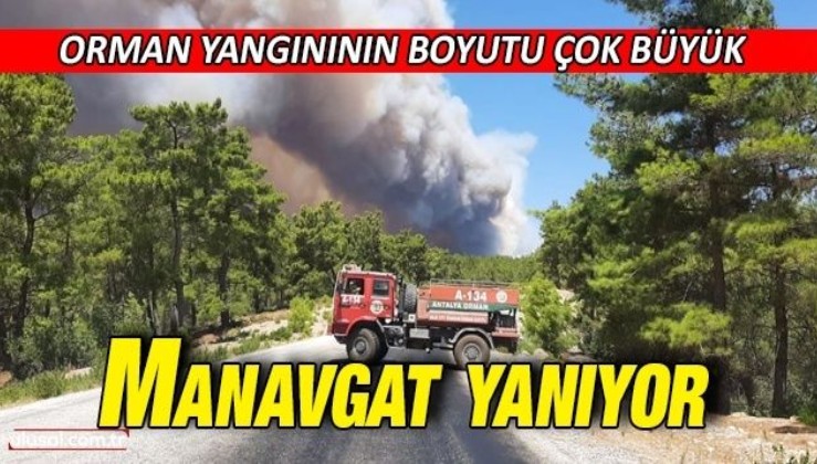 Manavgat'ta büyük yangın