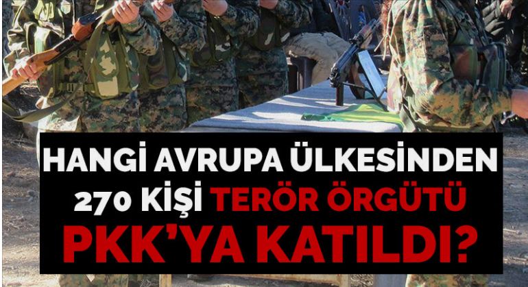 270 terörist PKK/YPG saflarına katıldı