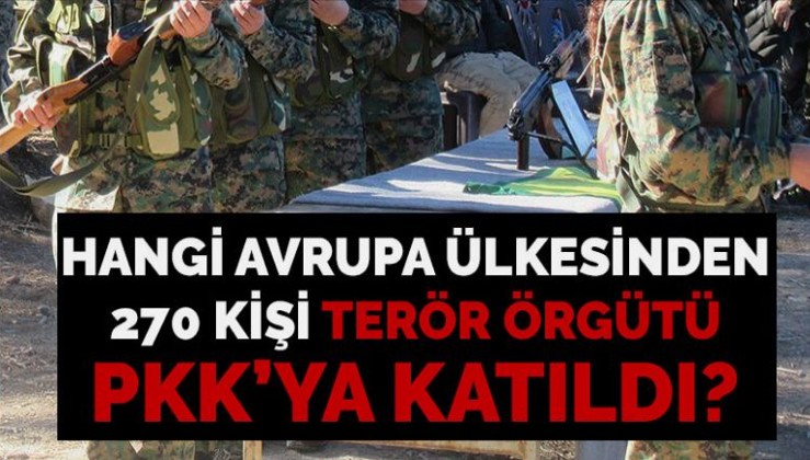 270 terörist PKK/YPG saflarına katıldı