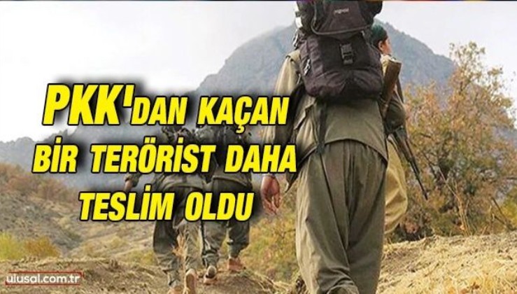 PKK'dan kaçan bir terörist daha teslim oldu