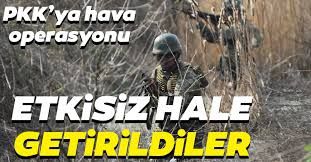 Son dakika: PKK'ya çok ağır darbe! 8 terörist daha öldürüldü