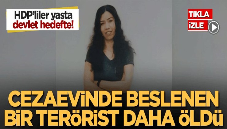 HDP'liler yasta, devlet hedefte! Cezaevinde beslenen bir terörist daha öldü