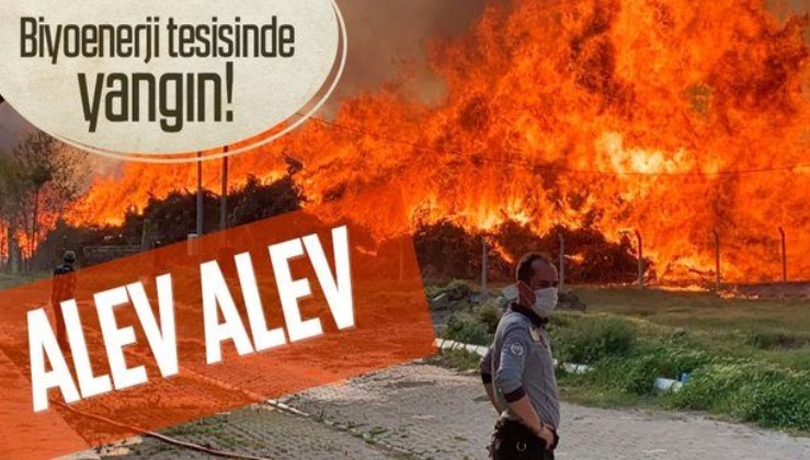 Son dakika: Afyonkarahisar'da biyoenerji tesisinde yangın!