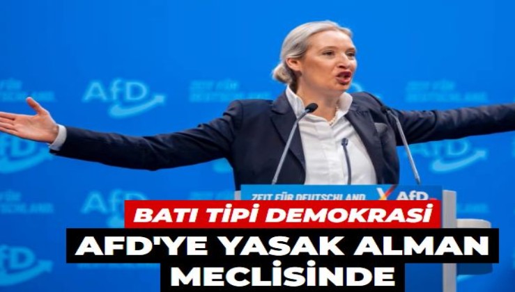 Alman meclisine AfD'nin yasaklanması için önerge sunuldu