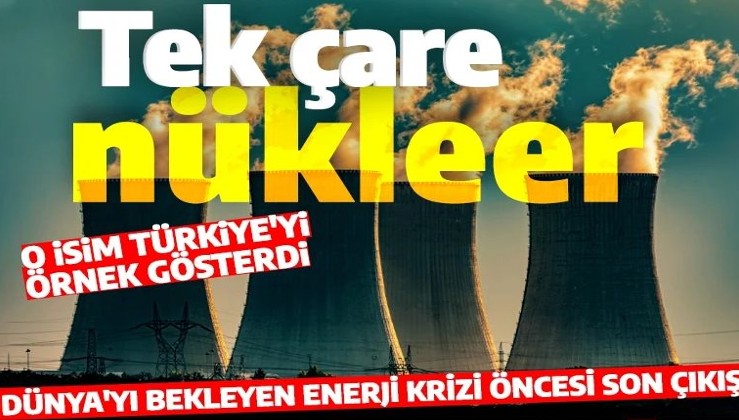 Enerji krizi öncesi son çıkış! O isim Türkiye'yi örnek gösterdi: Dünya genelinde sadece 61 tane var dedi