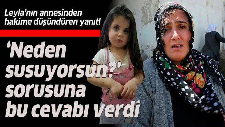 Hakimin "Neden susuyorsun?" sorusuna Leyla Aydemir'in annesinden cevap: 6 çocuğum daha var.