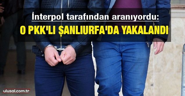 İnterpol tarafından aranıyordu: O PKK'lı Şanlıurfa'da yakalandı