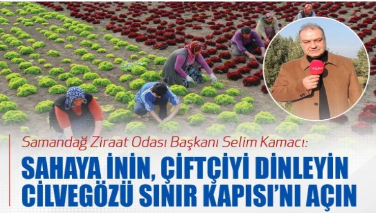 Samandağ Ziraat Odası Başkanı Selim Kamacı: Sahaya inin, çiftçiyi dinleyin Cilvegözü Sınır Kapısı’nı açın