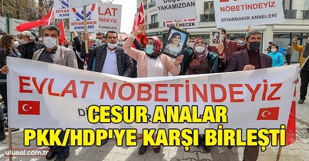 Cesur analar PKK/HDP'ye karşı birleşti
