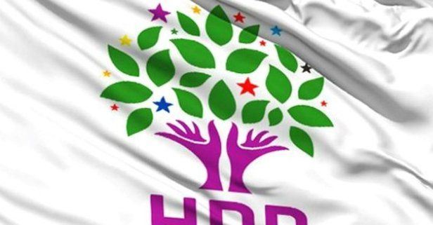 HDP'li Lice Belediye Başkanı gözaltına alındı.