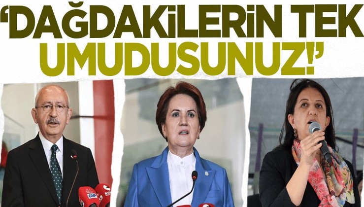 Meral Akşener ve Kılıçdaroğlu'na tepki: Dağdakilerin tek umudusunuz!