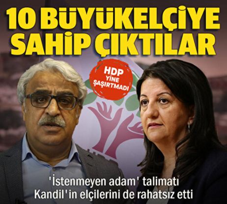 Cumhurbaşkanı Erdoğan'ın '10 büyükelçi' talimatı HDP'yi rahatsız etti