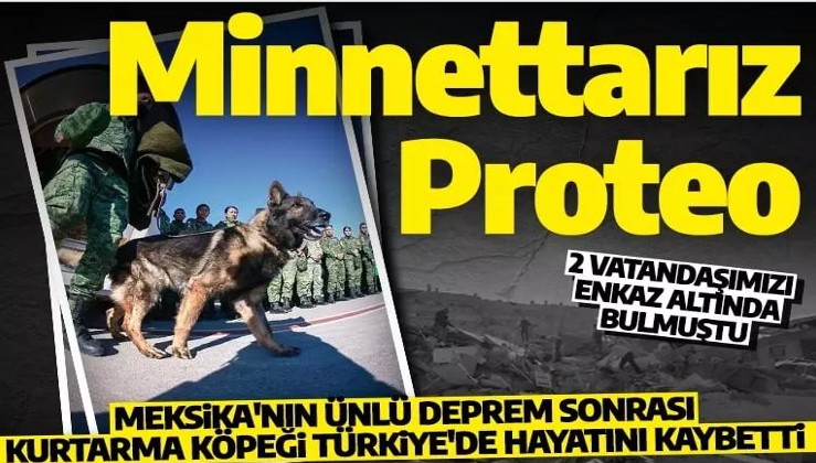 Minnettarız Proteo! Meksika'nın ünlü deprem sonrası kurtarma köpeği Türkiye'de hayatını kaybetti
