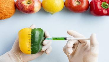 GDO Nedir ve Zararları Nelerdir?