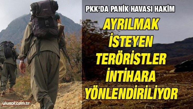 PKK'da panik havası hakim: Ayrılmak isteyen teröristler intihara yönlendiriliyor
