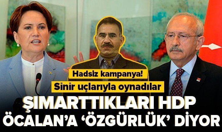 PKK elebaşı Abdullah Öcalan için özgürlük istediler!