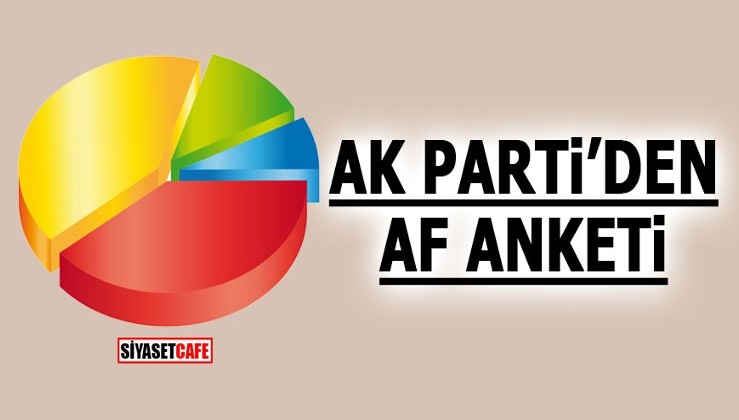 AK Parti'den af anketi