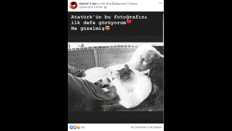 Fotoğrafın Atatürk’ün kediyle birlikte uyuduğunu gösterdiği iddiası