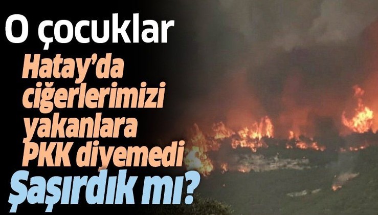 BBC Türkçe ve DW, Hatay'daki orman yangını haberinde "PKK" diyemedi
