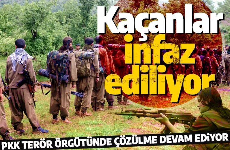 Terör örgütü PKK'da çözülme devam ediyor! Teslim olmak isteyen teröristler infaz ediliyor