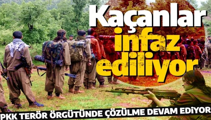 Terör örgütü PKK'da çözülme devam ediyor! Teslim olmak isteyen teröristler infaz ediliyor