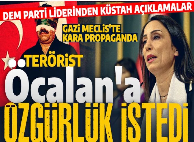 Gazi Meclis'imizde terör propagandası! DEM Parti Eş Başkanı terörist Öcalan'a özgürlük istedi!