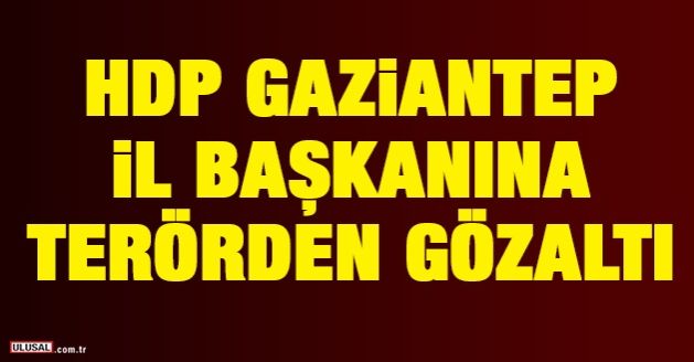 HDP Gaziantep İl Başkanına terörden gözaltı