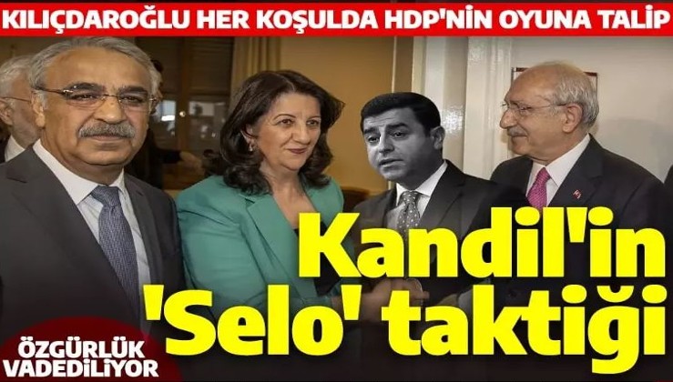 Kandil'in Kılıçdaroğlu, Akşener ve ortaklarına oy karşılığında 'SELO' stratejisi: Özgür bırakılsın!