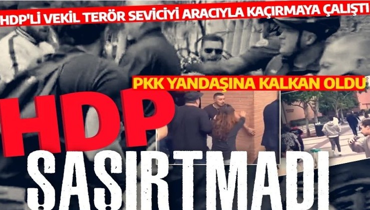 Terör sevici HDP yine şaşırtmadı! HDP'li vekil, PKK yandaşına kalkan oldu!
