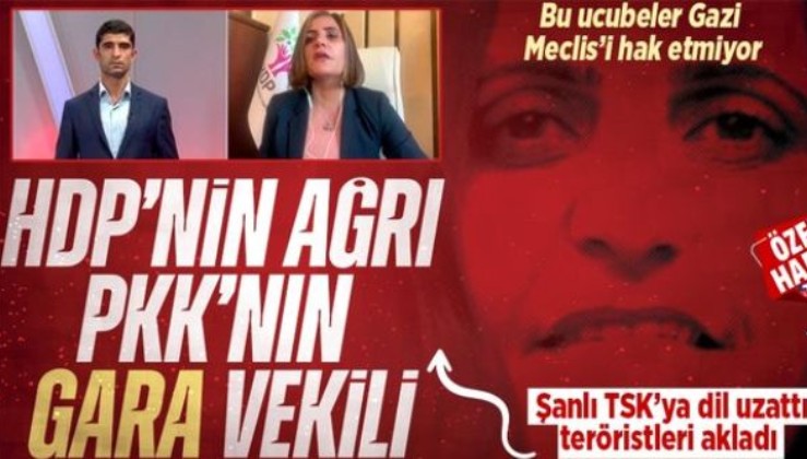 HDP'li Dilan Dirayet Taşdemir. TBMM'den PKK'nın kanalına bağlandı!