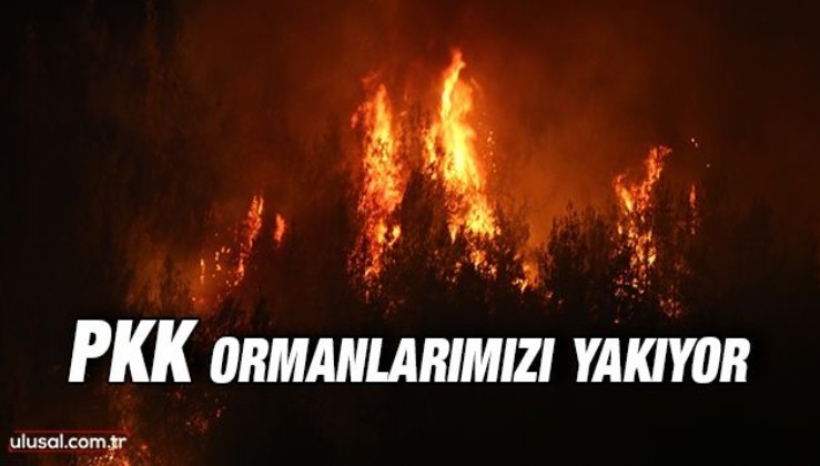 PKK ormanlarımızı yakıyor