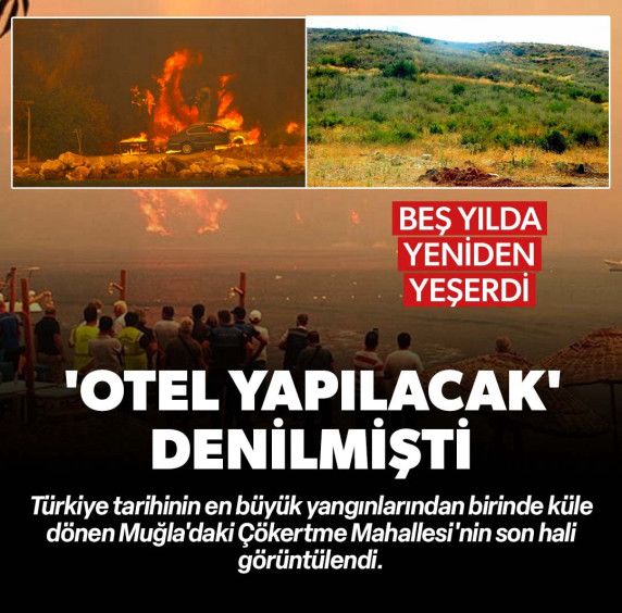 Türkiye tarihinin en büyük yangınlarından birinde kül olmuştu: 'Otel yapılacak' iddiaları çürüdü yangın bölgesi yeniden yeşerdi