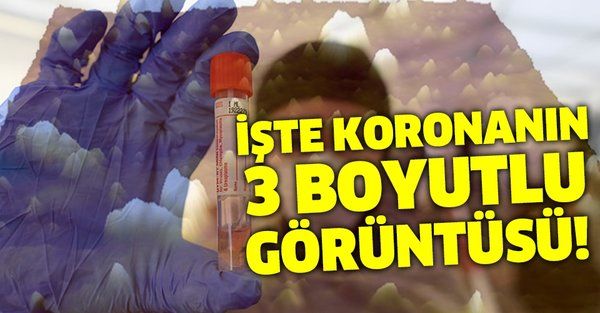 Türk bilim insanları başardı! İşte koronavirüsün 3 boyutlu görüntüsü
