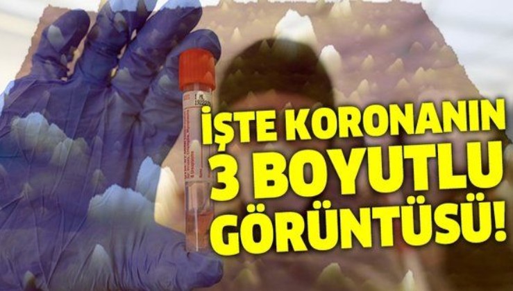 Türk bilim insanları başardı! İşte koronavirüsün 3 boyutlu görüntüsü