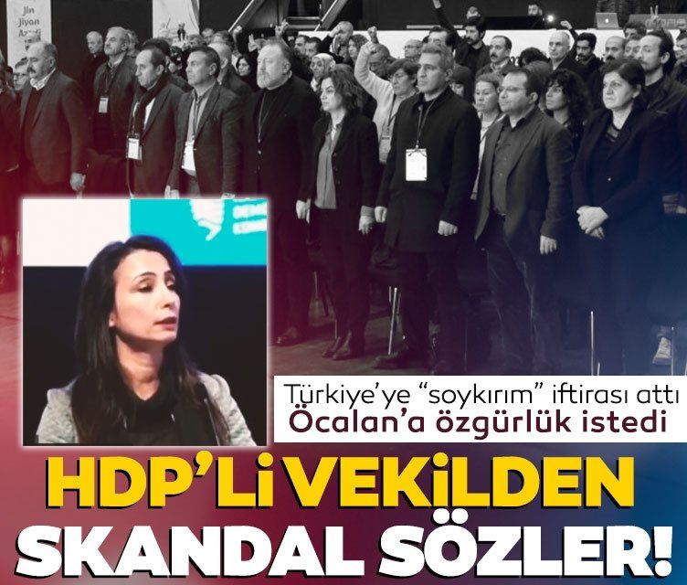 HDP'li Hatimoğulları'ndan skandal sözler! Türkiye'ye soykırım iftirası, Öcalan'a özgürlük