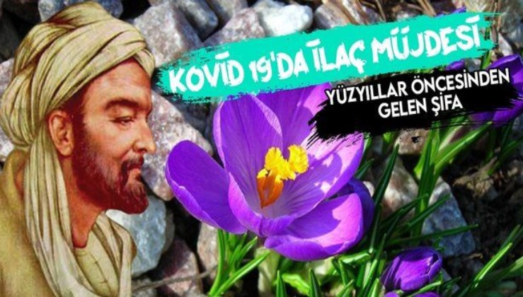 Kovid-19'un ilacı bulundu! Türk uzmanlar İbn-i Sina'nın ilacını keşfetti