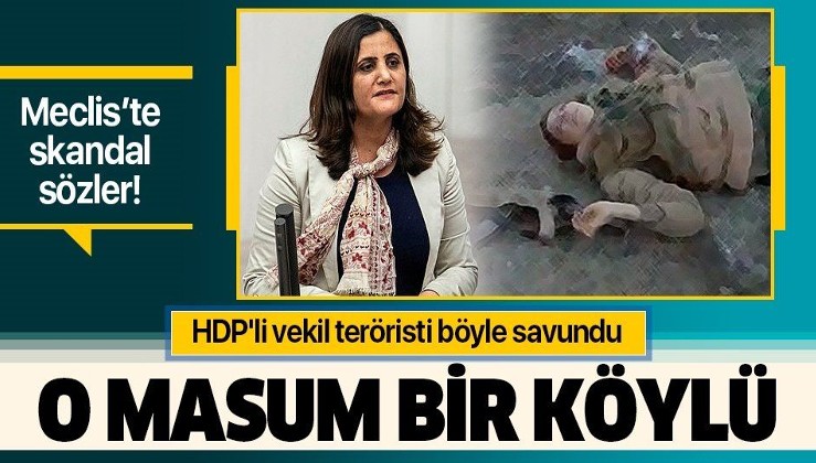 HDP'li vekil Dirayet Taşdemir teröristi böyle savundu: O masum bir köylü!.
